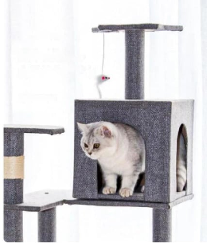 خداشة كبيره للقطط -الوان مختلفه