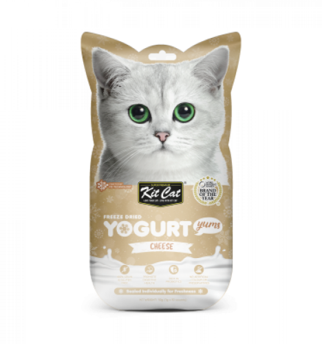 كيت كات مكافات للقطط يوغارت بالجبنة 10جم