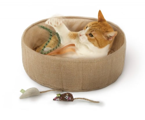 لعبة بيتلينكس للقطط لتعزيز رفاهيتها