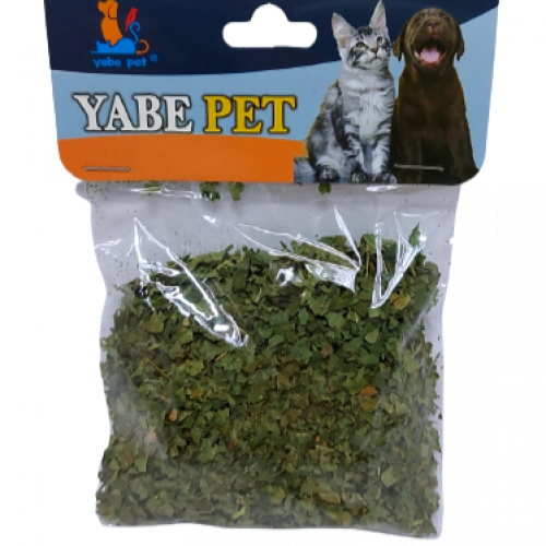 كاتنيب كيس YBPET-197