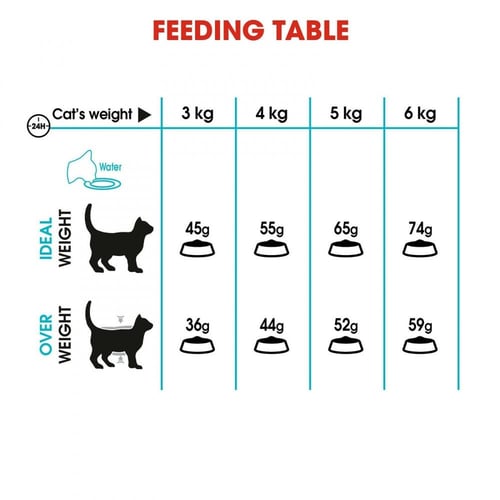 رويال كانين يوريناري طعام جاف للقطط للعناية بالمسا...