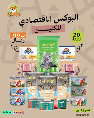 البوكس الاقتصادي للقطط الصغيرة