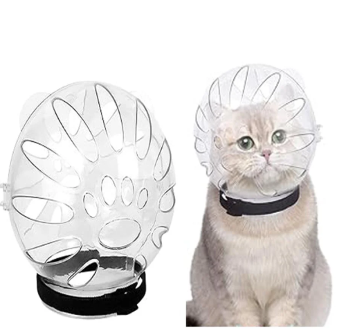 طوق قطط علي شكل كوره لما بعد العمليات