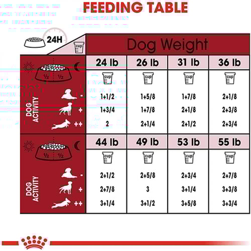 رويال كانين ميديوم ادولت طعام جاف للكلاب البالغة