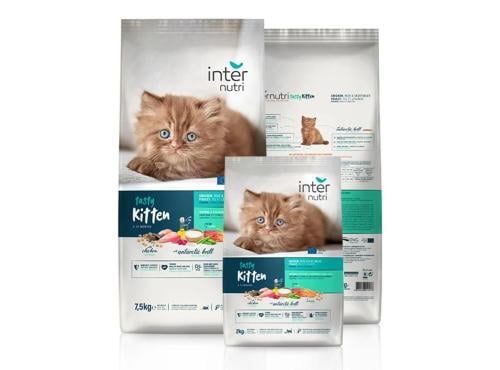 اكل قطط انترنوتري تيستي كتين2 ك