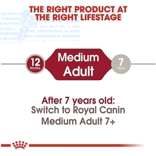 رويال كانين ميديوم ادولت طعام جاف للكلاب البالغة