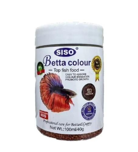 اكل سمك الفايتر siso