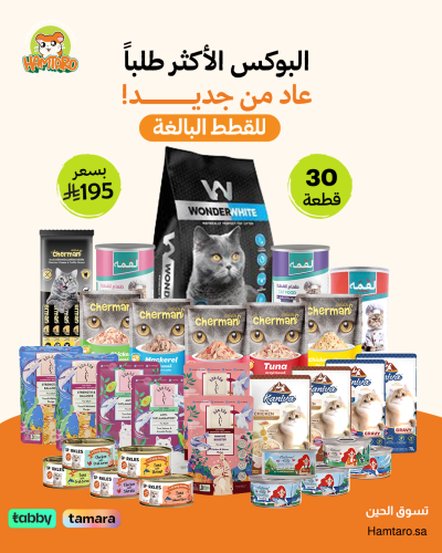 بوكس الاكثر طلبا