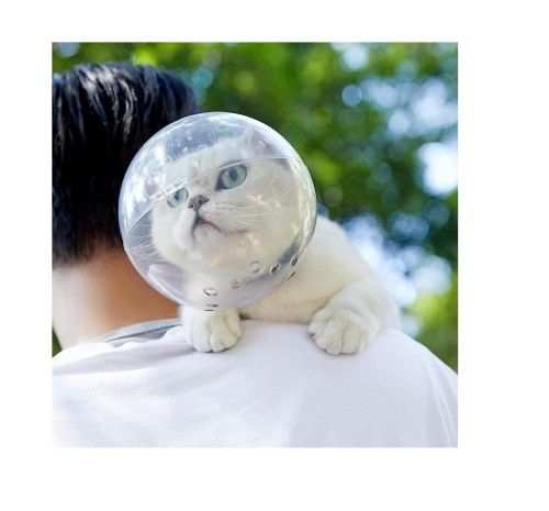 طوق حماية كورة للقطط