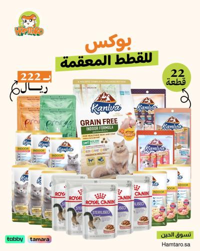 بوكس التاسيس للقطط المعقمه