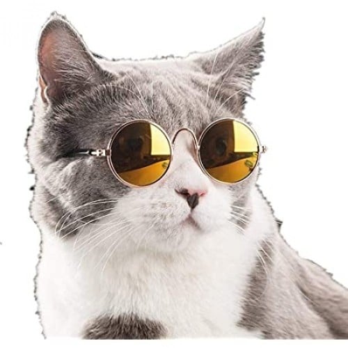 نظارات للقطط والكلاب