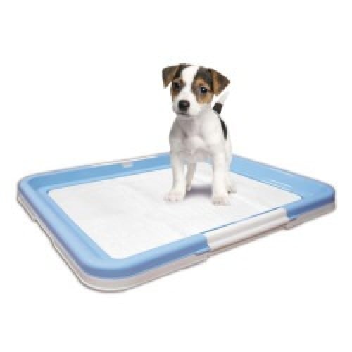 زولكس فوط تدريب نونية