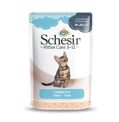 كرتون شيزر ظرف بالتونة طعام رطب للقطط الصغيرة كيتن...