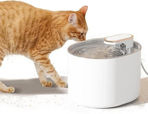 نافورة مياه كهربية متعددة الالوان pet water dispen...