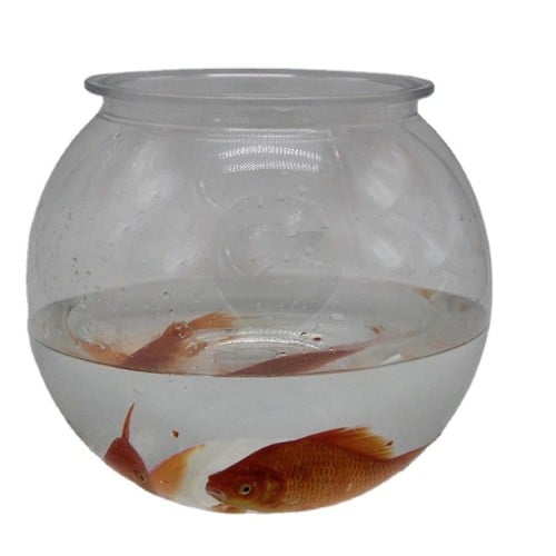 حوض بلاستيك للأسماك دائري