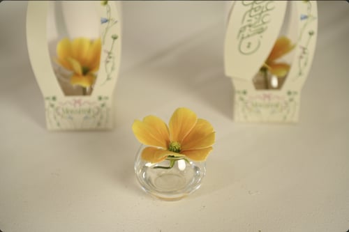 توزيعات العيد اصفر .