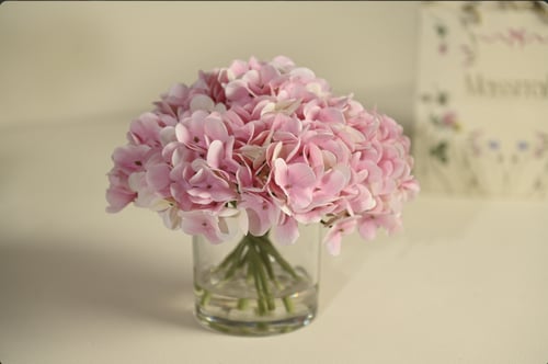 فازة ورد هدرنجا زهري