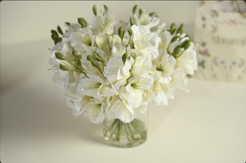 فازة ورد فيريزيا بيضاء