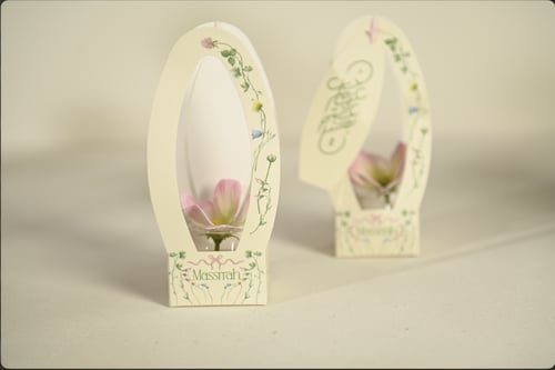 توزيعات العيد زهري .