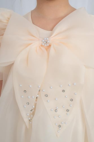 فستان بناتي سهرات فيونكه على الصدر s01125