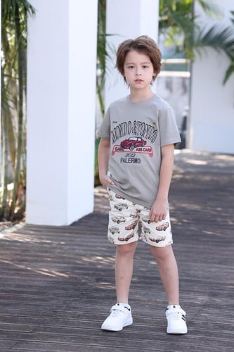 تيشيرت رمادي بطباعة سيارة 4134