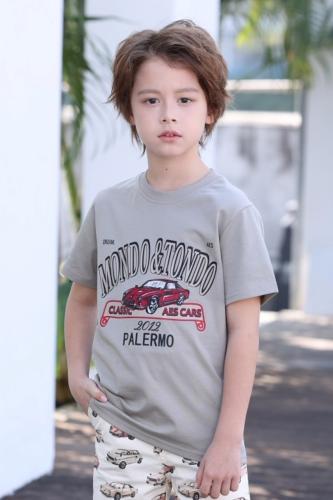 تيشيرت رمادي بطباعة سيارة 4134