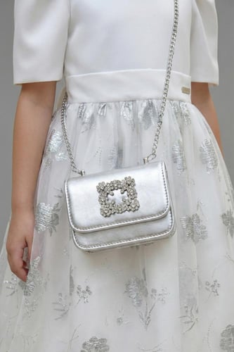 شنطة بناتية فاخرة فضية بمقبض لؤلؤ وزخرفة كريستالية...