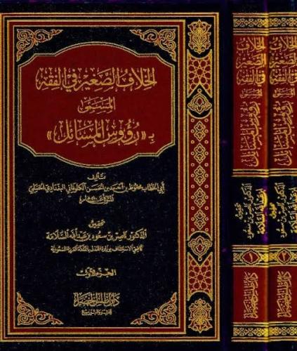 الخلاف الصغير في الفقه المسمى ب : رؤوس المسائل 2/1