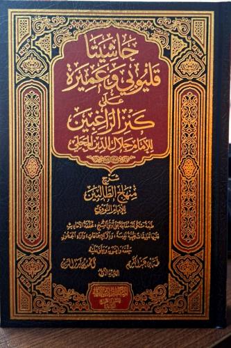 حاشيتا قليوبي وعميرة على كنز الراغبين 4/1