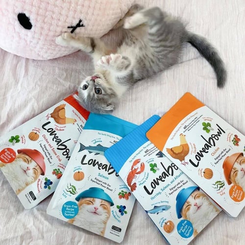 تركيبة الدجاج ومزيج السوبرفودز لدعم الهضم وصحة الف...