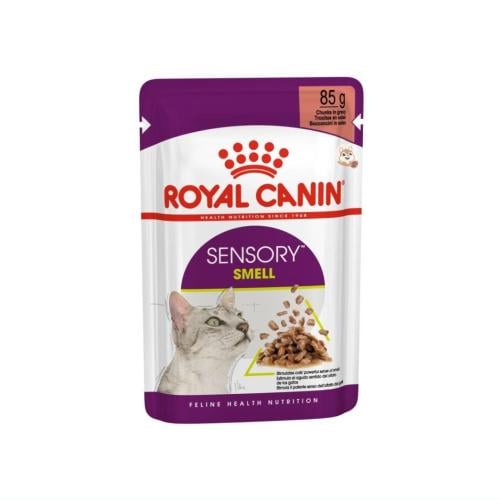 أظرف سينسوري سميل لتعزيز حاسة الشم للقطط في المرق...