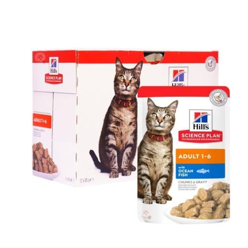 تركيبة علمية من سمك المحيط مع المرق للقطط البالغة...