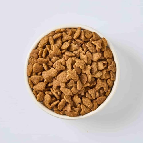 مكافآت البط والجبن الغنية بالسوبر فود لدعم المناعة...