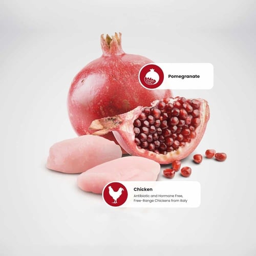 تركيبة الدجاج والرمان لتعزيز المناعة للقطط البالغة...