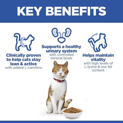 تركيبة علمية بالدجاج للقطط المعقمة البالغة 3 كغ هي...