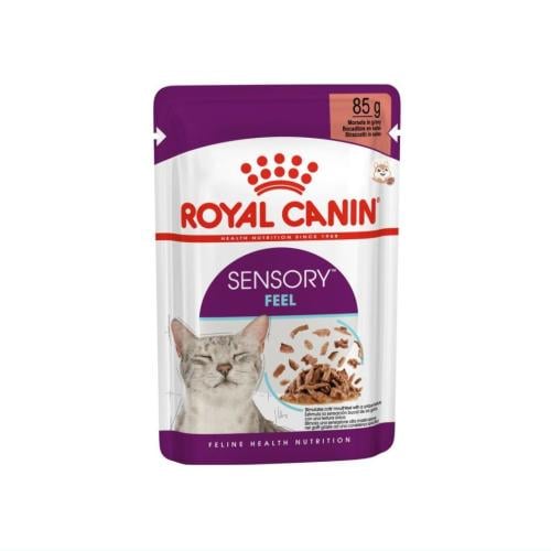 أظرف سينسوري فيل لتعزيز حاسة الشعور للقطط في المرق...