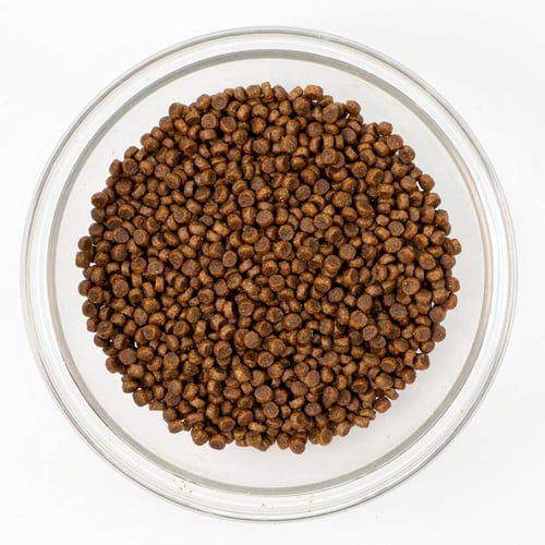 تركيبة الرنجة والسلمون والكركند الاطلسي لدعم البصر...