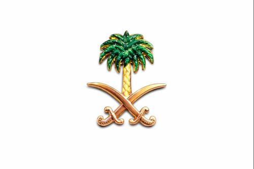 ملصقات جوال حديدية وطنية H