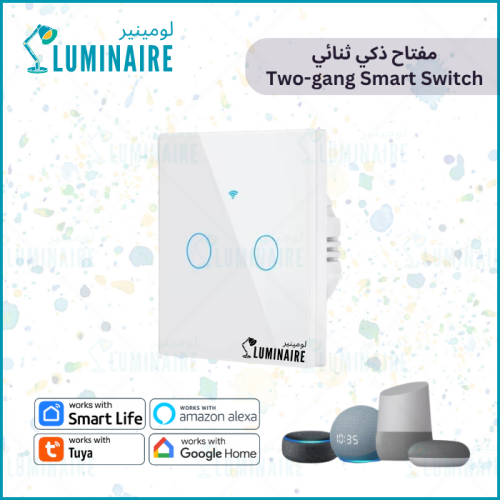 مفتاح ذكي ثنائي