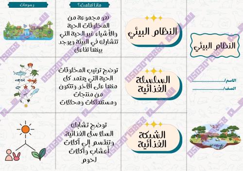 مطوية النظام البيئي ثالث ابتدائي pdf