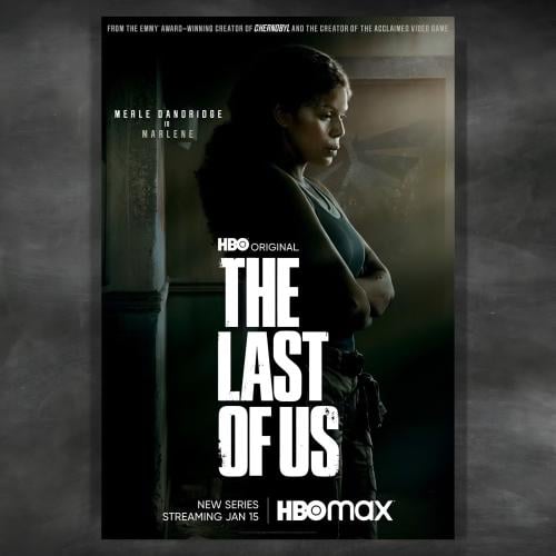 The Last Of Us (T21)