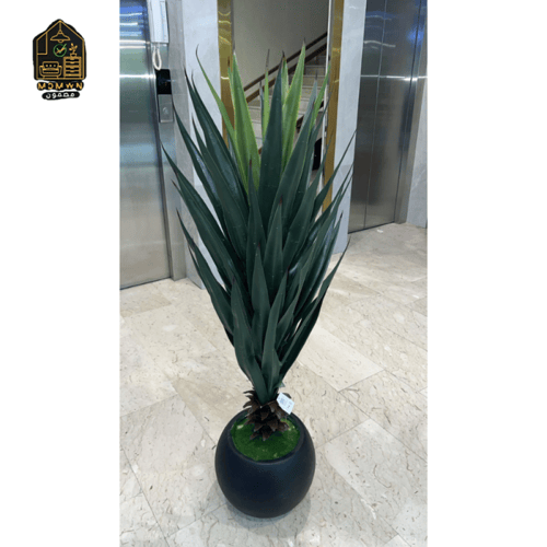 نبات أجاف صناعي