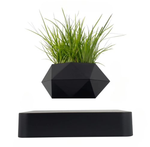 وعاء نباتات عائم اسود