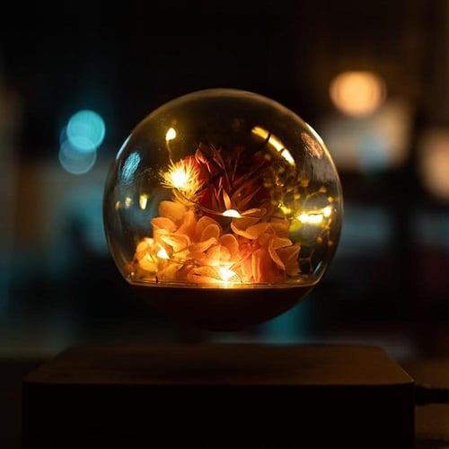 زهور حقيقية عائمة مع ضوء. قاعدة بني فاتح