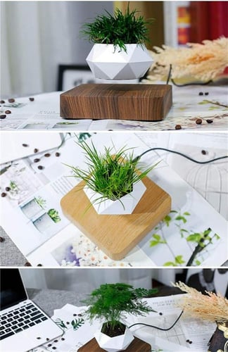 وعاء نباتات عائم بني فاتح