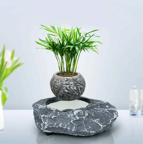وعاء نباتات عائم شكل حجري