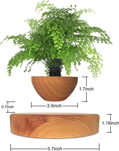 وعاء نباتات عائم حوض خشبي