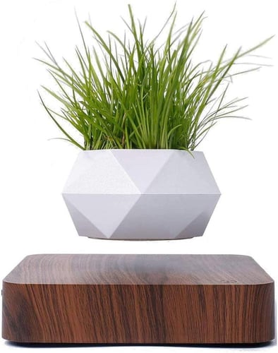 وعاء نباتات عائم بني غامق