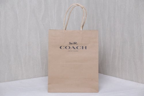 كيس كوتش صغير