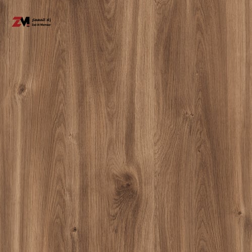 مدخل بمرايا دائرية